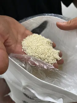 نیم دانه طارم هاشمی عطری