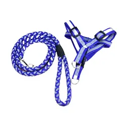 قلاده و بند قلاده سگ کتفی  کمری شب نما