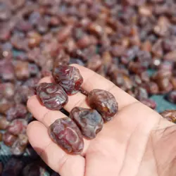 خرما دشتستان کد _۳ دو کیلویی.