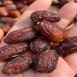 خرما دشتستان.