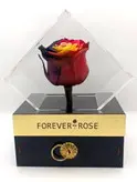 جعبه جواهری رز جاویدان Forever Rose