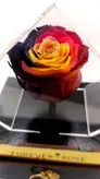جعبه جواهری رز جاویدان Forever Rose