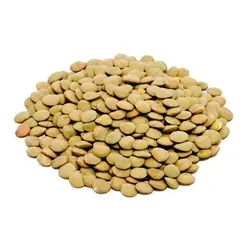 عدس درشت زودپز | خشکبار درندشت