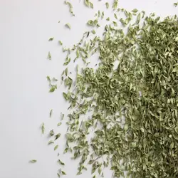 آویشن کوهی -کاکوتی - گل خورشید