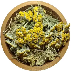 بومادران - گل خورشید