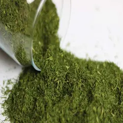 پودر شوید - گل خورشید