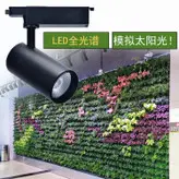 چراغ ریلی رشد گیاه فول اسپکتروم