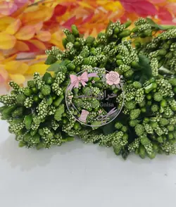 گل مصنوعی مدل پرچم شکری دسته ۱۲ عددی