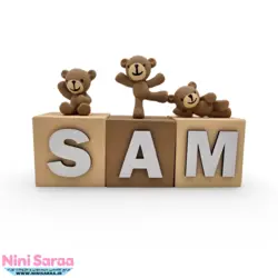 استند مکعب اسم نوزاد چوبی طرح تدی | با بهترین کیفیت چوب راش و رنگ اکریلیک | قیمت برای یک مکعب می باشد