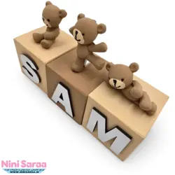 استند مکعب اسم نوزاد چوبی طرح تدی | با بهترین کیفیت چوب راش و رنگ اکریلیک | قیمت برای یک مکعب می باشد