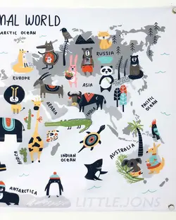 نقشه دیواری kids map