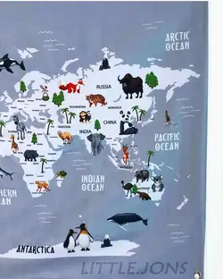 نقشه دیواری kids map