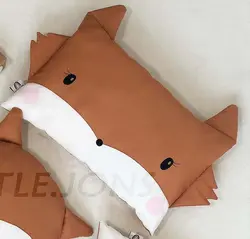 بالشت روباه