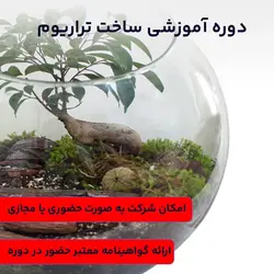 دوره آموزشی ساخت تراریوم | خلق باغ شیشه ای با گلخانه ایران