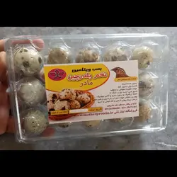 تخم بلدرچین 15 عددی