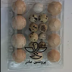 تخم مرغ محلی و تخم بلدرچین میکس