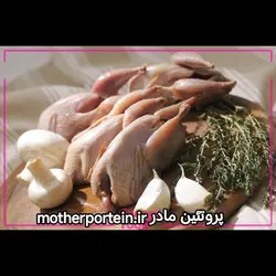 گوشت بلدرچین (منجمد) یک کیلویی
