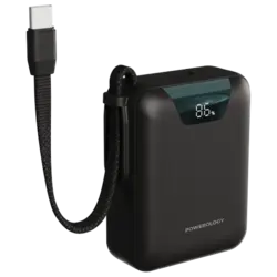 پاوربانک پاورولوژی Powerology York 10000mAh Power Bank گارانتی رسمی 6 ماهه گجت