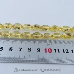 33 دانه حشره ای _کد:34511
