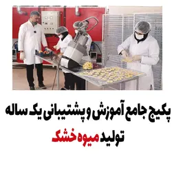 پکیج جامع آموزشی تولید میوه خشک