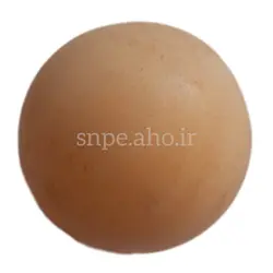 توپ ماساژ snpe