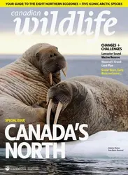 مجله Canadian Wildlife؛ جولای و آگوست 2018