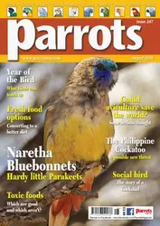 مجله Parrots؛ آگوست 2018