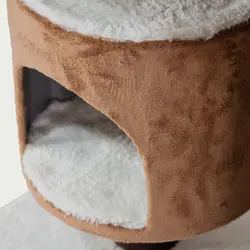 اسکرچر گربه مدل ملودی از برند هاچی