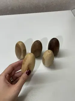 نمکدان چوبی چوب گردو 2 عددی
