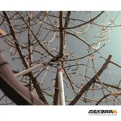 قیچی شاخه زن حرفه ای آلتونا مدل 82-0370