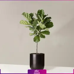 گلدان طرح جدید مریخ نما همراه با لیراتا چند شاخه