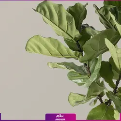 گلدان طرح جدید مریخ نما همراه با لیراتا چند شاخه