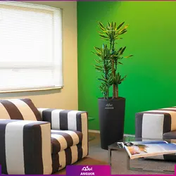 گلدان طرح جدید مریخ نما همراه با نخل اریکا