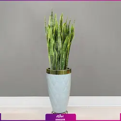 گلدان طرح جدید روکش چرم طرح دار با سانسوریا ابلق