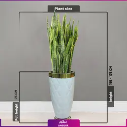 گلدان طرح جدید روکش چرم طرح دار با سانسوریا ابلق