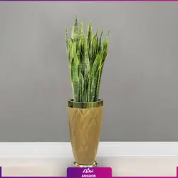 گلدان طرح جدید روکش چرم طرح دار با سانسوریا ابلق