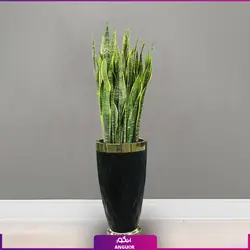 گلدان طرح جدید روکش چرم طرح دار با سانسوریا ابلق