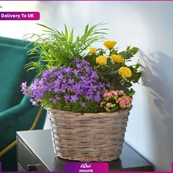 هولدر گوشی با طرح مرد عنکبوتی (ارسال گل به انگلستان) | انگور