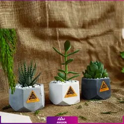 گلدان هدیه مینی (هدایای سازمانی و تبلیغاتی)