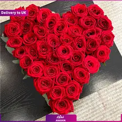 هدیه جوراب (ارسال هدیه به انگلستان) | انگور