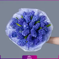 سفارش اینترنتی گلدان سنبل طبیعیاز گل فروشی آنلاین انگور