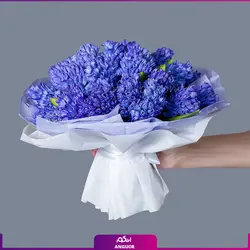 سفارش اینترنتی گلدان سنبل طبیعیاز گل فروشی آنلاین انگور