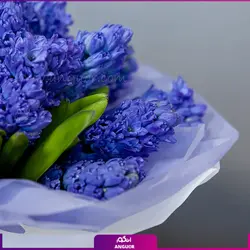 سفارش اینترنتی گلدان سنبل طبیعیاز گل فروشی آنلاین انگور