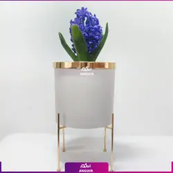 خرید آنلاین گلدان سنبل طبیعی از گلفروشی انگور