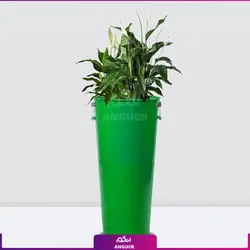 گلدان هدیه لوکس اسپاتی فیلوم بزرگ | مرکز گل و گیاه انگور