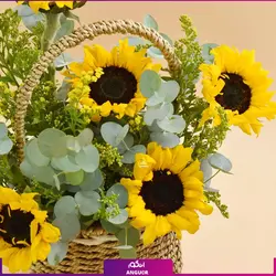 Sunflower Shine Basket And Cake (طرح بین الملل کلاسیک) | انگور