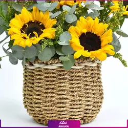 Sunflower Shine Basket And Cake (طرح بین الملل کلاسیک) | انگور
