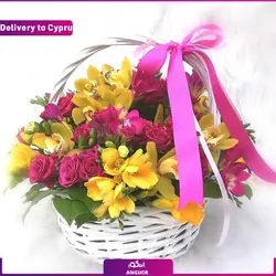 سبد گل دیبا (ارسال گل به قبرس) | انگور