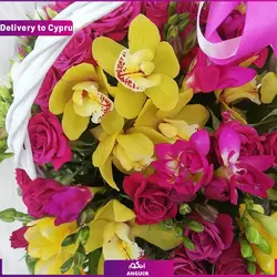 سبد گل دیبا (ارسال گل به قبرس) | انگور