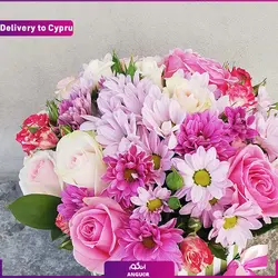 باکس گل داوودی (ارسال گل به قبرس) | انگور